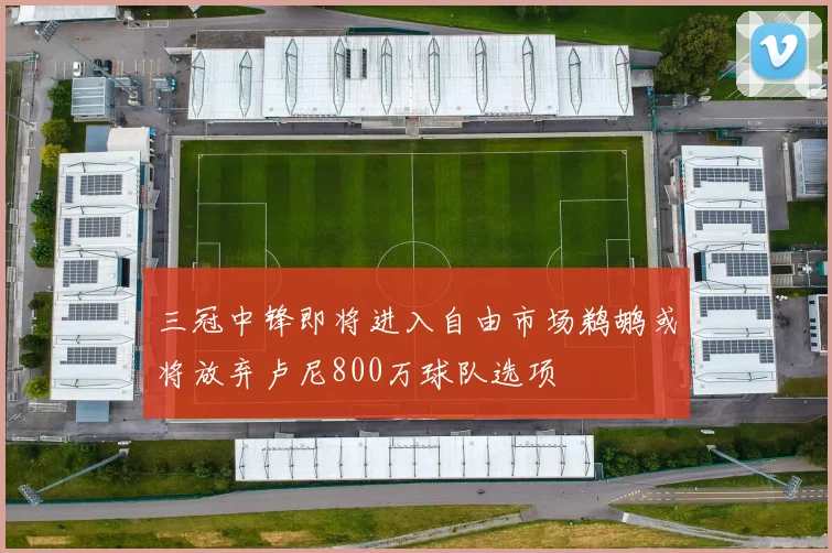 三冠中锋即将进入自由市场鹈鹕或将放弃卢尼800万球队选项